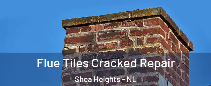  Flue Tiles Cracked Repair Shea Heights - NL