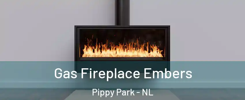  Gas Fireplace Embers Pippy Park - NL