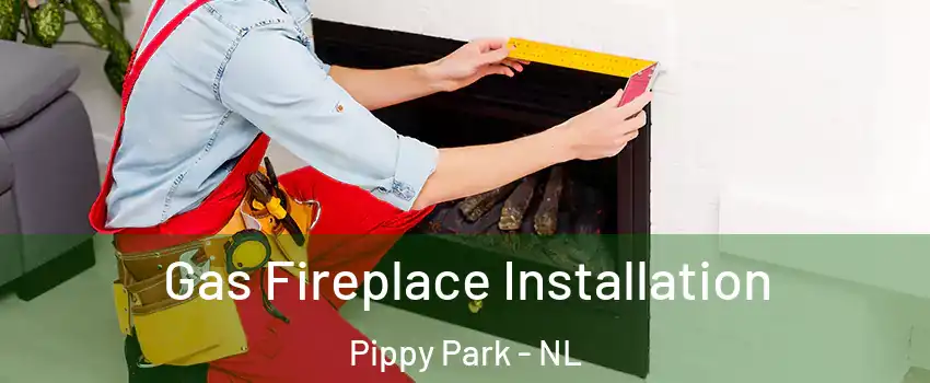  Gas Fireplace Installation Pippy Park - NL