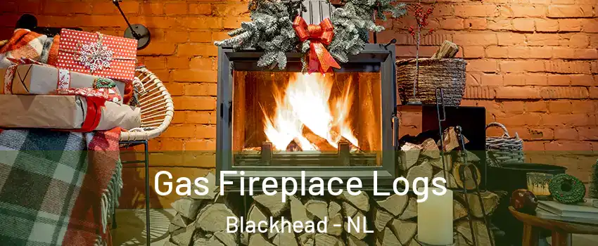  Gas Fireplace Logs Blackhead - NL