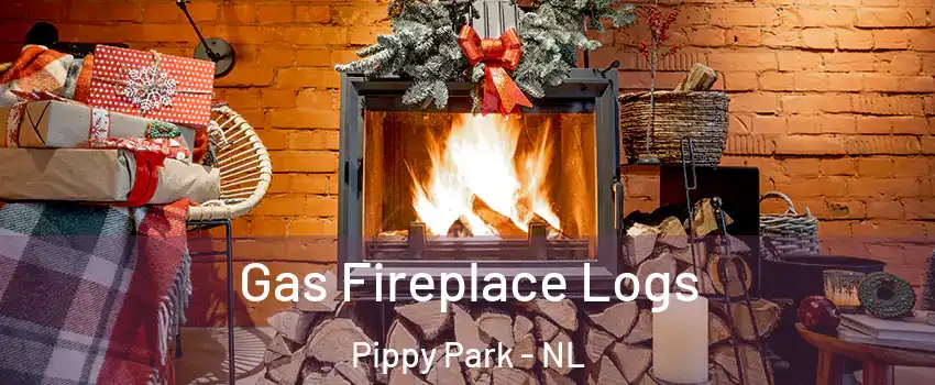  Gas Fireplace Logs Pippy Park - NL