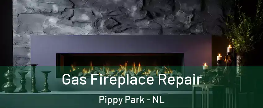  Gas Fireplace Repair Pippy Park - NL