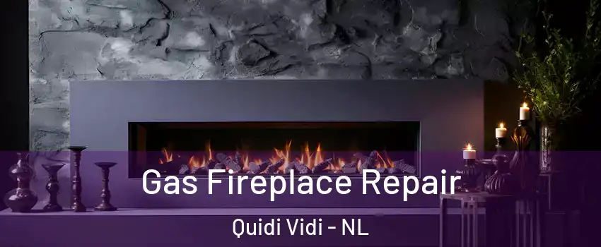  Gas Fireplace Repair Quidi Vidi - NL