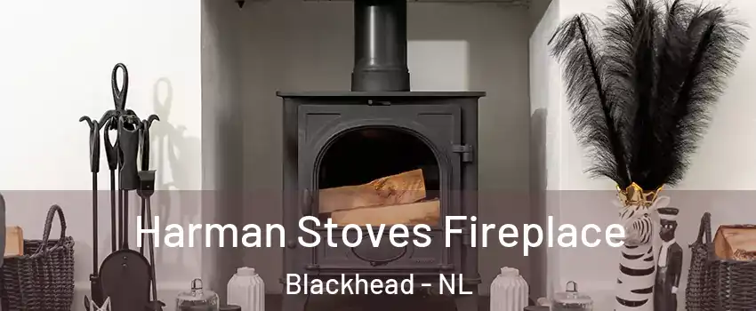  Harman Stoves Fireplace Blackhead - NL