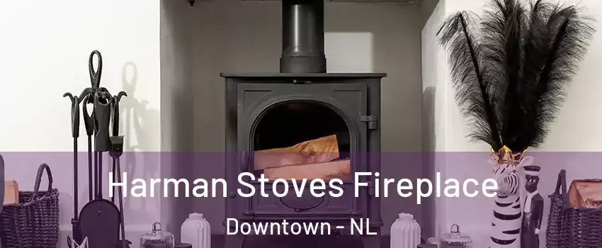  Harman Stoves Fireplace Downtown - NL