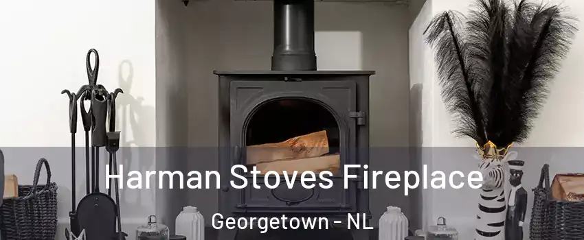  Harman Stoves Fireplace Georgetown - NL