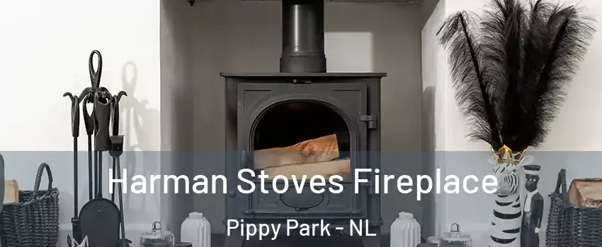  Harman Stoves Fireplace Pippy Park - NL