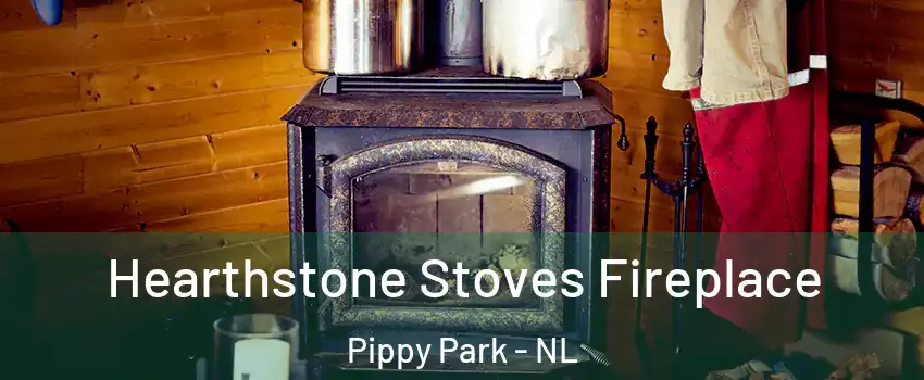 Hearthstone Stoves Fireplace Pippy Park - NL