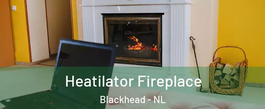  Heatilator Fireplace Blackhead - NL