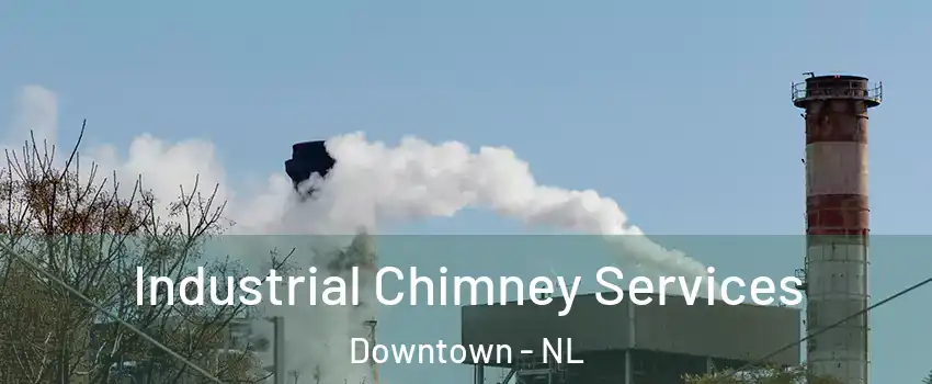  Industrial Chimney Services Downtown - NL