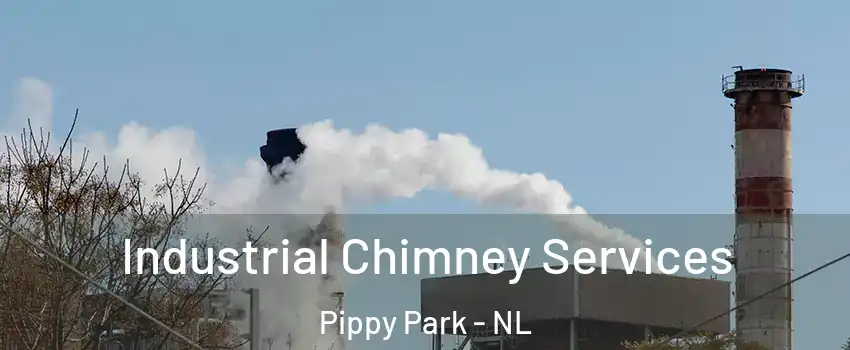  Industrial Chimney Services Pippy Park - NL