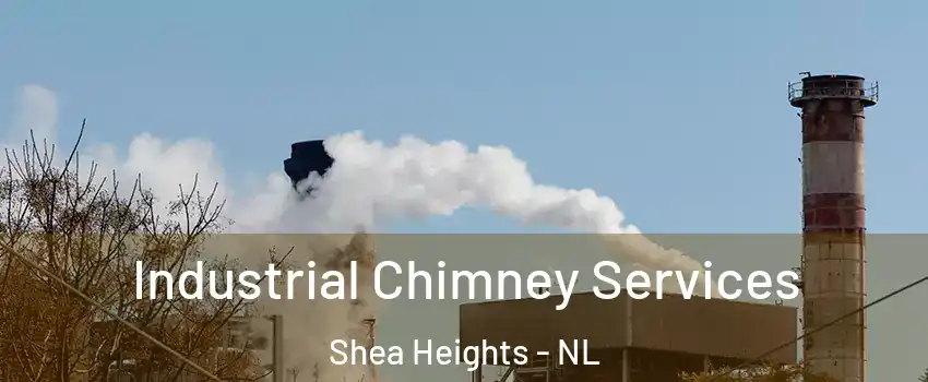  Industrial Chimney Services Shea Heights - NL