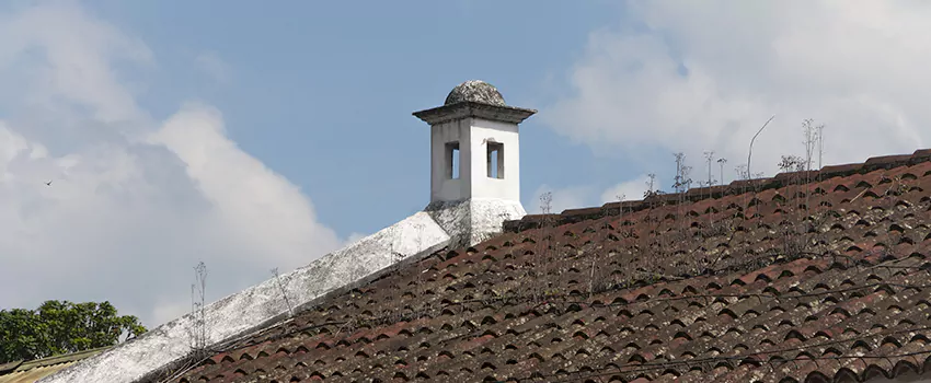 Wind-Resistant Chimney Caps Installation and Repair Services in St Johns, Newfoundland and Labrador