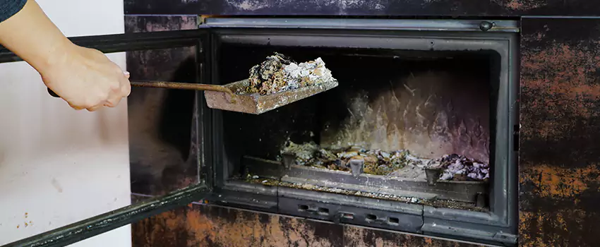 Wood Burning Chimney Odor Removal in St Johns, Newfoundland and Labrador