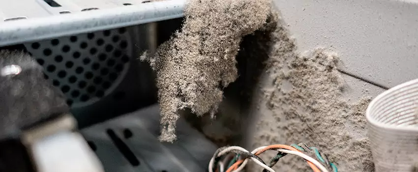 Clogged Dryer Vent Lint Cleaning in St Johns, Newfoundland and Labrador