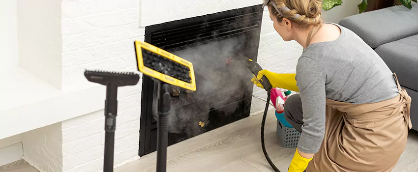 Fireplace Doors Cleaning in Georgetown, Newfoundland