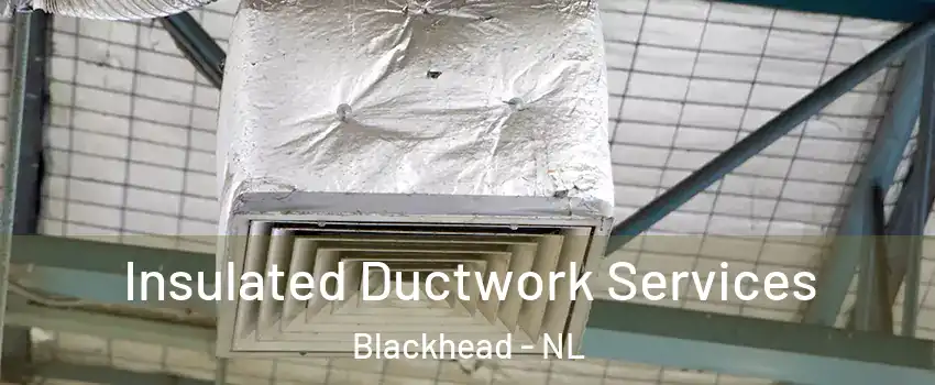  Insulated Ductwork Services Blackhead - NL