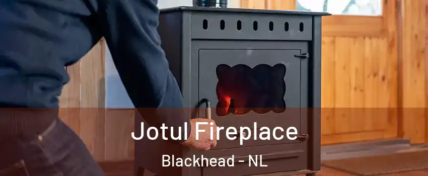  Jotul Fireplace Blackhead - NL