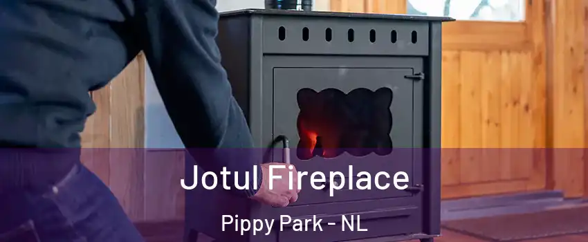  Jotul Fireplace Pippy Park - NL