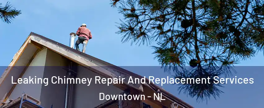  Leaking Chimney Repair And Replacement Services Downtown - NL