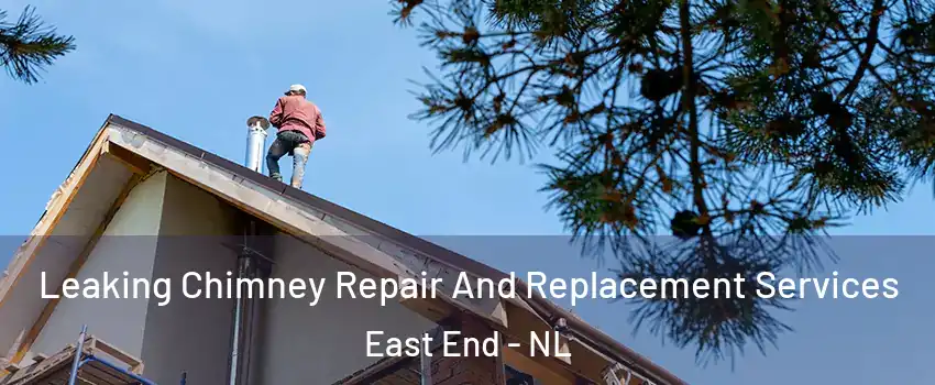  Leaking Chimney Repair And Replacement Services East End - NL