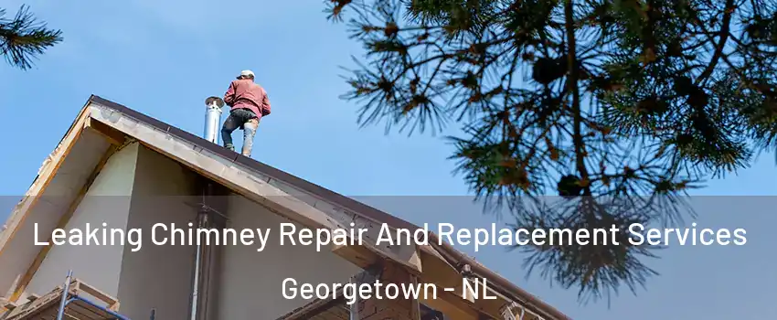  Leaking Chimney Repair And Replacement Services Georgetown - NL