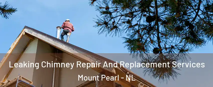  Leaking Chimney Repair And Replacement Services Mount Pearl - NL