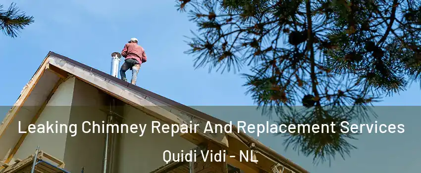  Leaking Chimney Repair And Replacement Services Quidi Vidi - NL