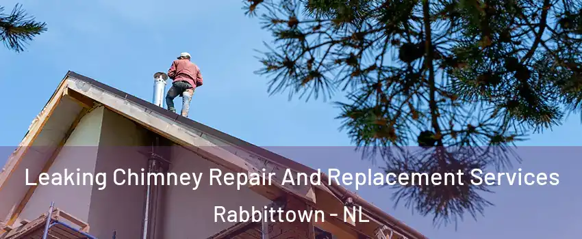  Leaking Chimney Repair And Replacement Services Rabbittown - NL
