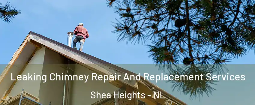  Leaking Chimney Repair And Replacement Services Shea Heights - NL