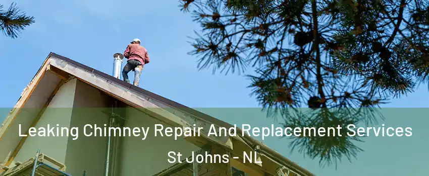  Leaking Chimney Repair And Replacement Services St Johns - NL