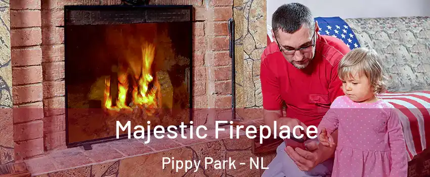  Majestic Fireplace Pippy Park - NL