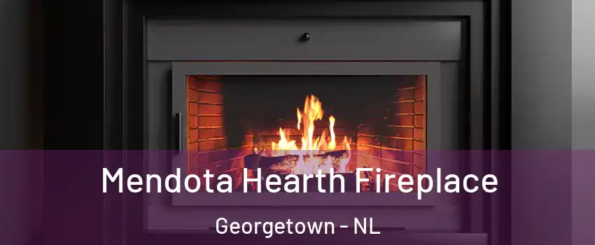 Mendota Hearth Fireplace Georgetown - NL