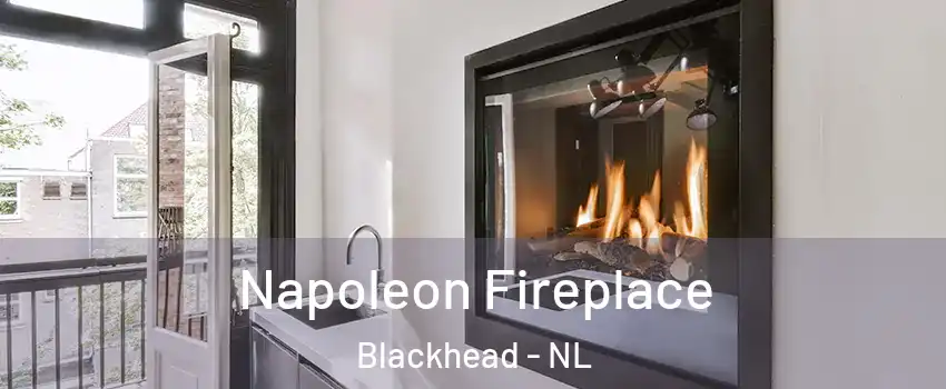  Napoleon Fireplace Blackhead - NL
