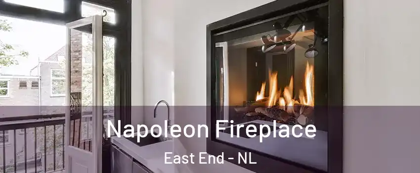  Napoleon Fireplace East End - NL