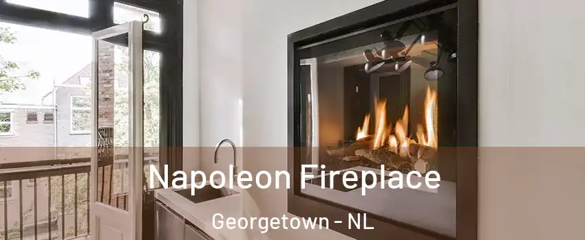  Napoleon Fireplace Georgetown - NL