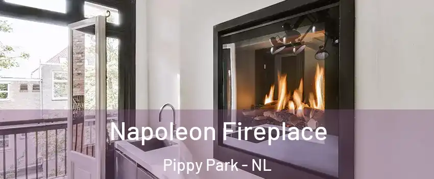  Napoleon Fireplace Pippy Park - NL