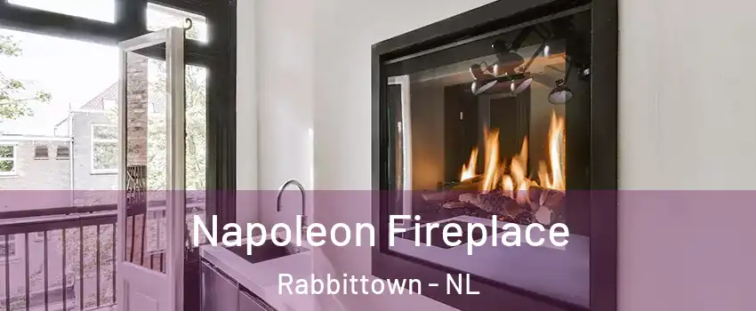  Napoleon Fireplace Rabbittown - NL