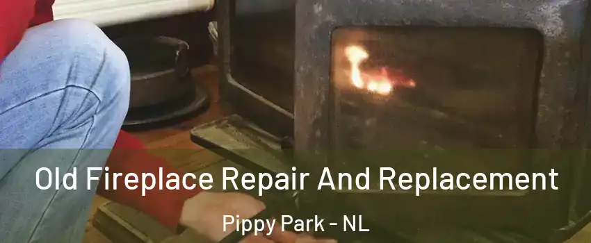  Old Fireplace Repair And Replacement Pippy Park - NL