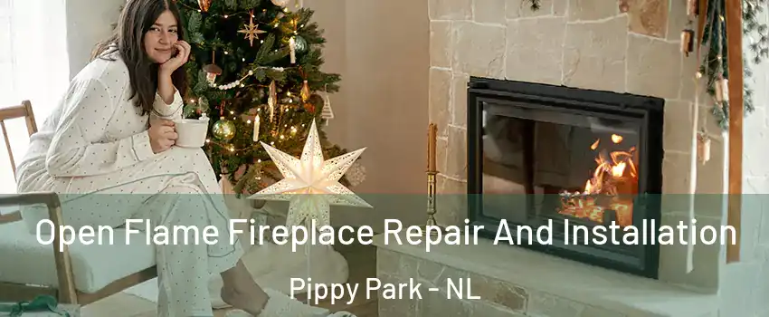  Open Flame Fireplace Repair And Installation Pippy Park - NL