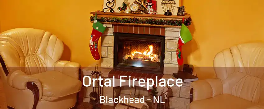 Ortal Fireplace Blackhead - NL
