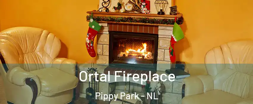 Ortal Fireplace Pippy Park - NL