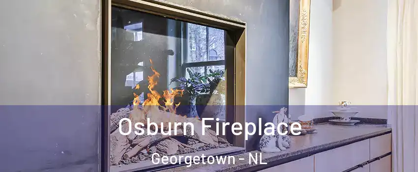  Osburn Fireplace Georgetown - NL