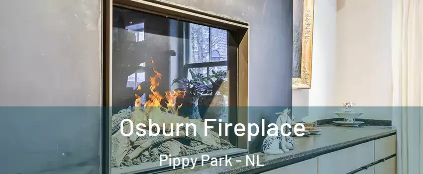  Osburn Fireplace Pippy Park - NL