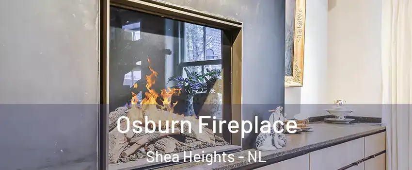  Osburn Fireplace Shea Heights - NL