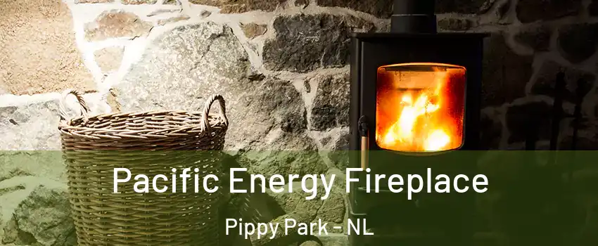  Pacific Energy Fireplace Pippy Park - NL