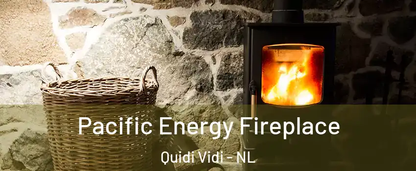  Pacific Energy Fireplace Quidi Vidi - NL