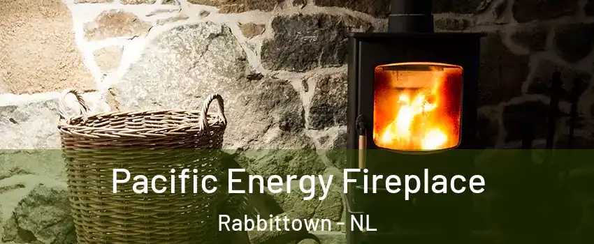  Pacific Energy Fireplace Rabbittown - NL
