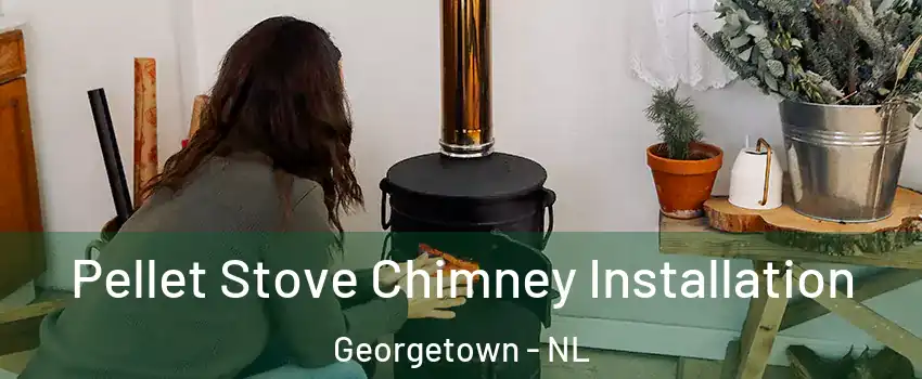  Pellet Stove Chimney Installation Georgetown - NL