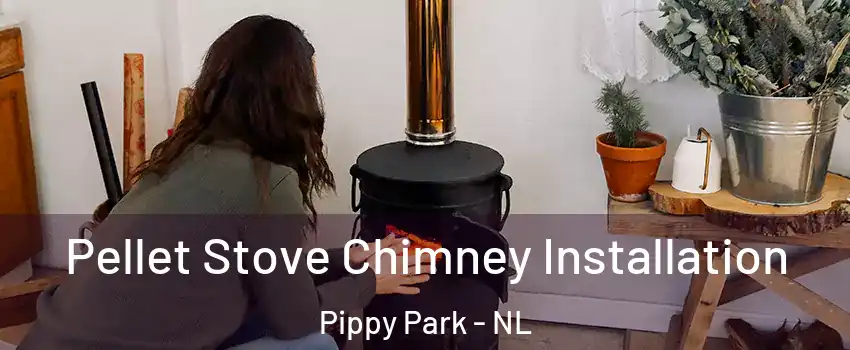  Pellet Stove Chimney Installation Pippy Park - NL